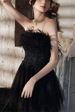 Black Plume Evening Dress French Vintage Gothic Princess Corset Dress