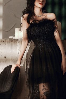 Black Plume Evening Dress French Vintage Gothic Princess Corset Dress