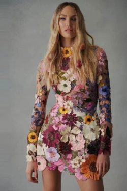 Floral Embroidery Mini Dress - Long Sleeve Spring Party Fashion