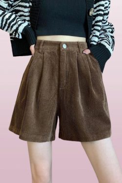 Y2K Women's Velvet Elastic Waist Corduroy Shorts